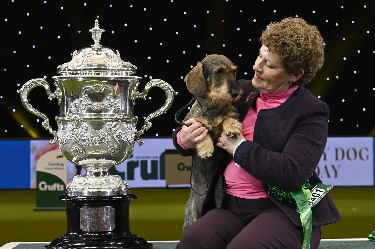 Crufts, Live Broadcast Audience Engagement, footage